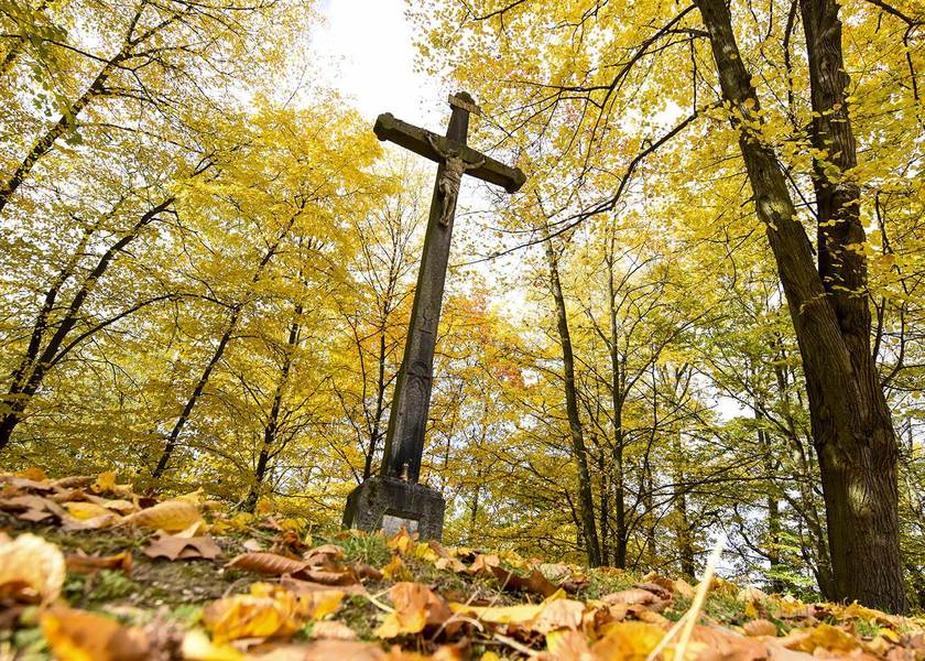 obr. k článku: Lesní hřbitov Písek