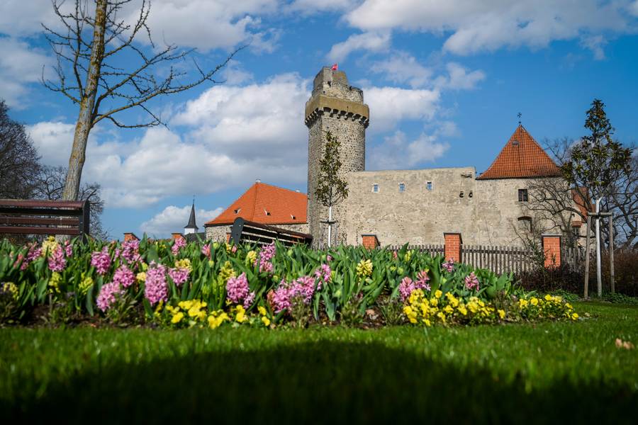 obr. k článku: Muzeum středního Pootaví Strakonice